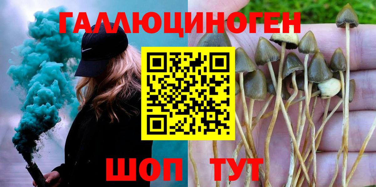 Псилоцибиновые грибы Magic Shrooms  Галлюциногенные грибы Cubensis  Вход с VPN  Дзержинский 